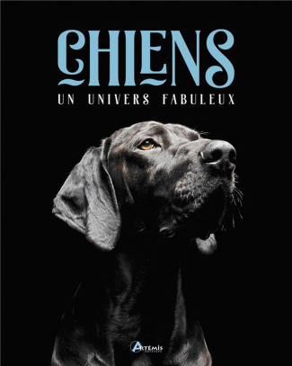 Chiens, un univers fabuleux