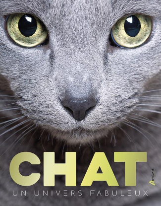Chat, un univers fabuleux