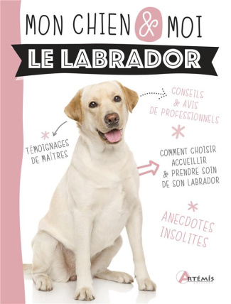 Le labrador
