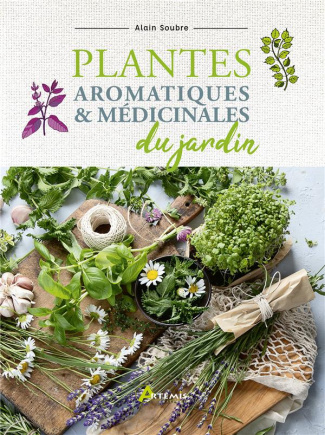 Plantes aromatiques et médicinales du jardin