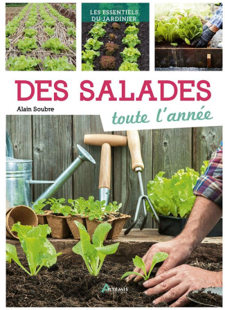 Des salades toute l'année
