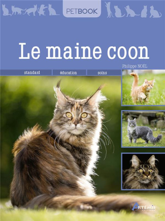Le maine coon