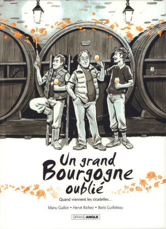 Un grand Bourgogne oublié Tome 2 : Quand viennent les citadelles...