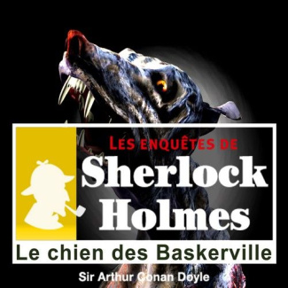 Les enquêtes de Sherlock Holmes. Le chien des Baskerville, 1 CD audio MP3
