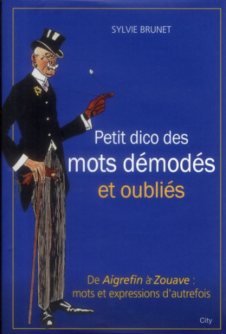 Le petit dico des mots démodés et oubliés