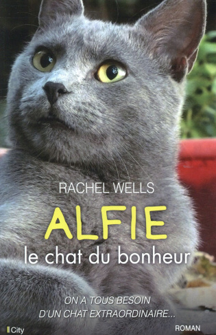 Alfie le chat du bonheur