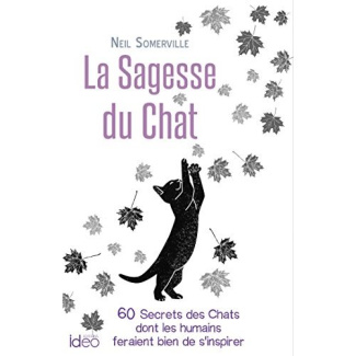La sagesse des chats