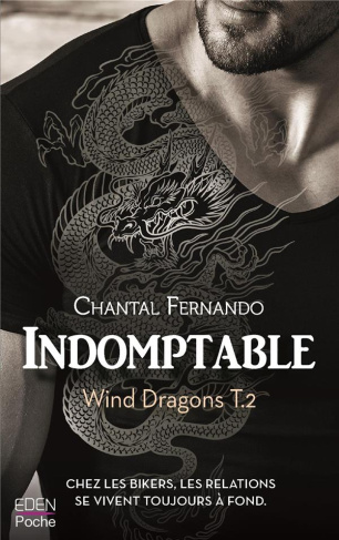 Wind Dragons Tome 2 : Indomptable