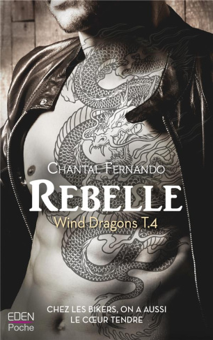 Wind Dragons Tome 4 : Rebelle