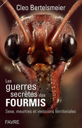 Les guerres secrètes des fourmis. Sexe, meurtres et invasions territoriales