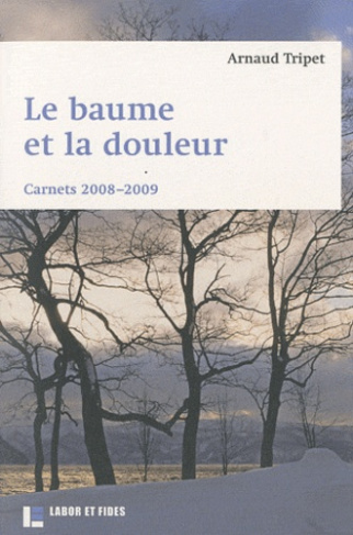 Le baume et la douleur. Carnets 2008-2009