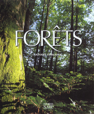 Forêts