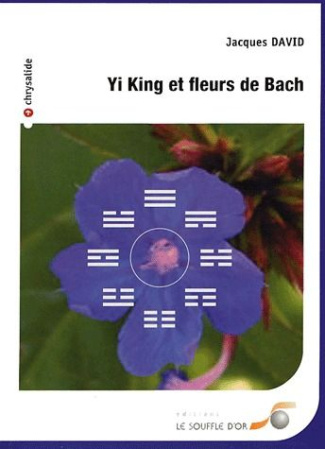 Yi King et fleurs de Bach