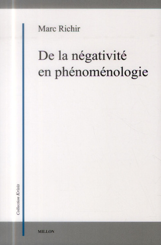 De la négativité en phénoménologie
