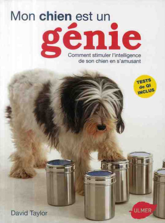 Mon chien est un génie. Comment stimuler l'intelligence de son chien en s'amusant