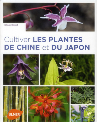 Cultiver les plantes de Chine et du Japon