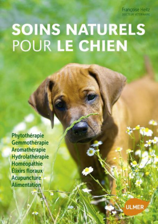 Soins naturels pour le chien