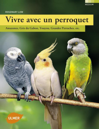Vivre avec un perroquet. Amazones, gris du Gabon, youyou, grandes perruches, etc