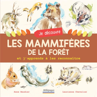 Je découvre les mammifères de la forêt et j'apprends à les reconnaître