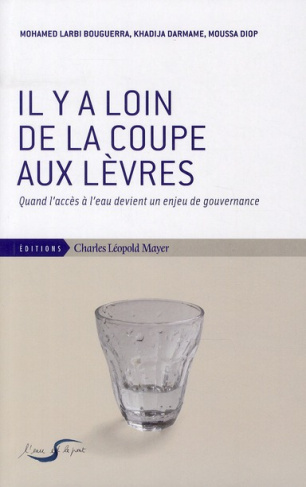 Il y a loin de la coupe aux lèvres. Quand l'accès à l'eau devient un enjeu de gouvernance