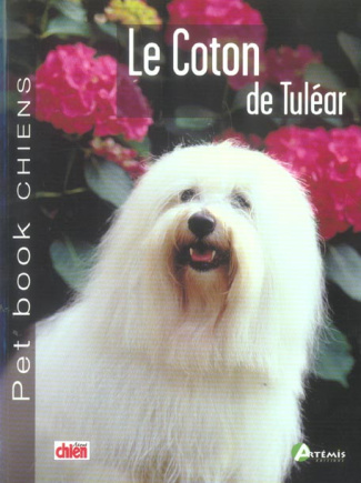 Le Coton de Tuléar