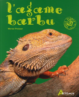L'agame barbu
