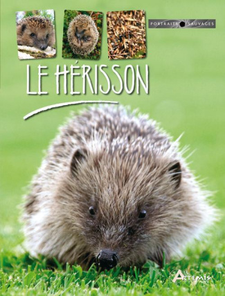 LE HERISSON