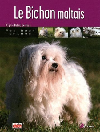 Le bichon maltais