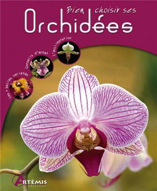 Bien choisir ses Orchidées