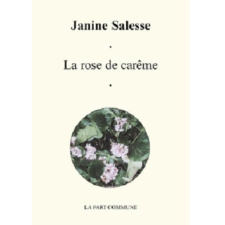 La rose de carême