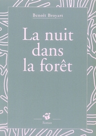 La nuit dans la forêt