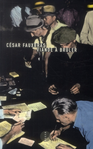 Viande à brûler. Journal d'un chômeur