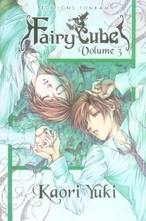 Fairy Cube Tome 3