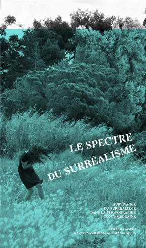 Le spectre du surréalisme. Survivance du surréalisme dans la photographie contemporaine