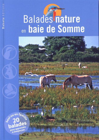 Balades nature en baie de Somme