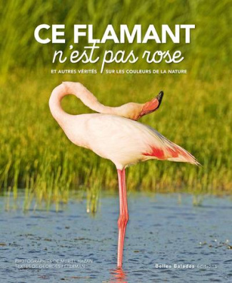 Ce flamant n'est pas rose. Et autres vérités sur les couleurs de la nature