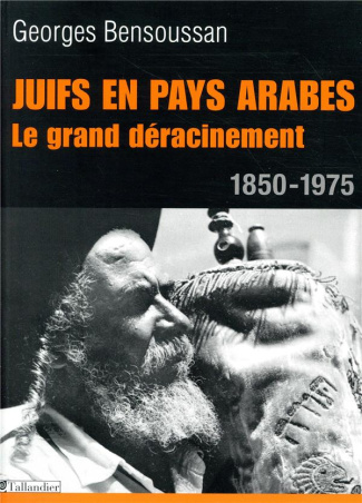 Juifs en pays arabes. Le grand déracinement 1850-1975