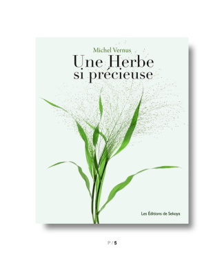 Une herbe si précieuse