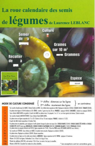 La roue calendaire des semis : légumes et fleurs