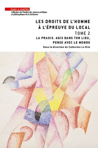 Les droits de l'homme à l'épreuve du local. Tome 2, La praxis. Agis en ton lieu, pense avec le monde