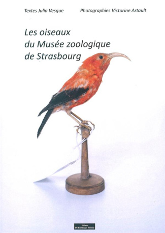 Les oiseaux du musée zoologique de Strasbourg