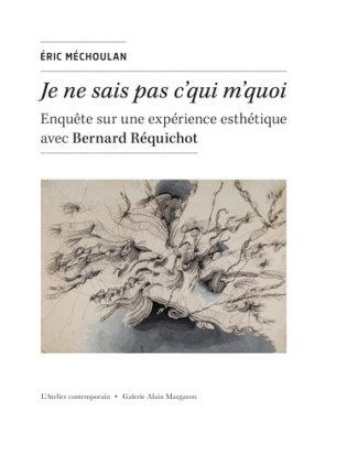 Je ne sais pas c'qui m'quoi. Enquête sur une expérience esthétique avec Bernard Réquichot