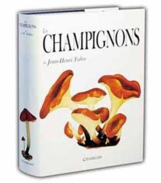 Les champignons de Jean-Henri Fabre