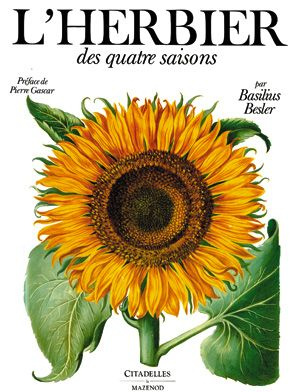 L'herbier des quatre saisons. Ou Le jardin d'Eichstätt