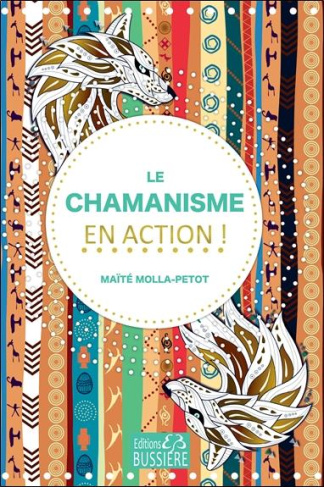 Chamanisme en action