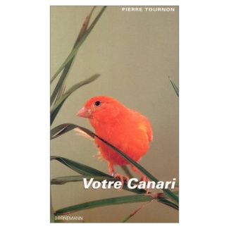 Votre canari