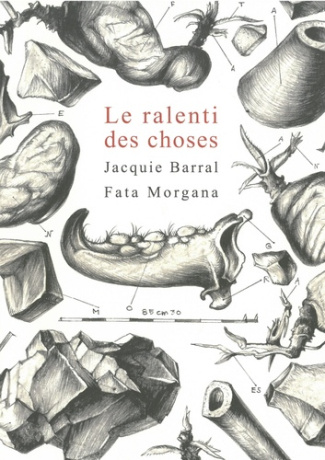 Le ralenti des choses