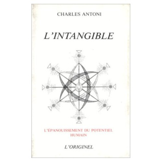 L'INTANGIBLE
