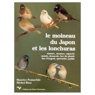 Le moineau du japon et les lonchuras