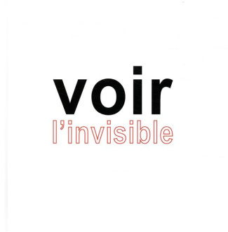 Voir l'invisible. Tome 2, Comprendre, Agir